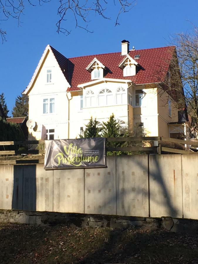 Villa Pusteblume 巴特格伦德 外观 照片